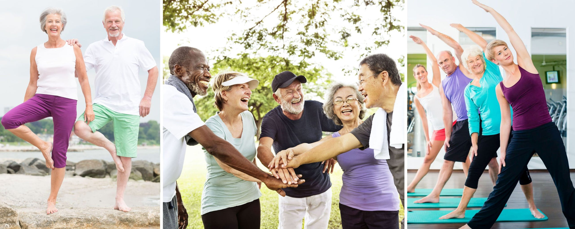 Supplements for Seniors